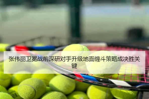 张伟丽卫冕战前深研对手升级地面缠斗策略成决胜关键